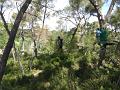 2012-08 Accrobranches 003